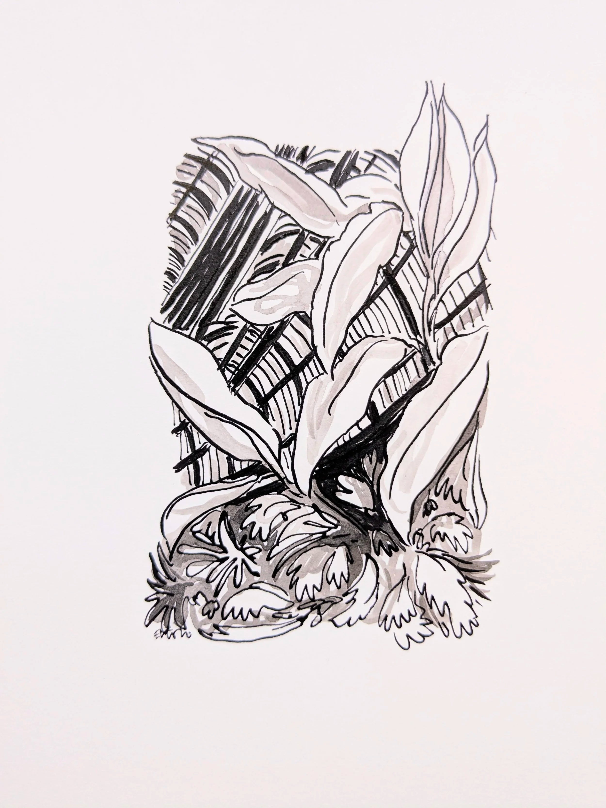 Original ! Serre du Parc de la Tête d'Or - Noir